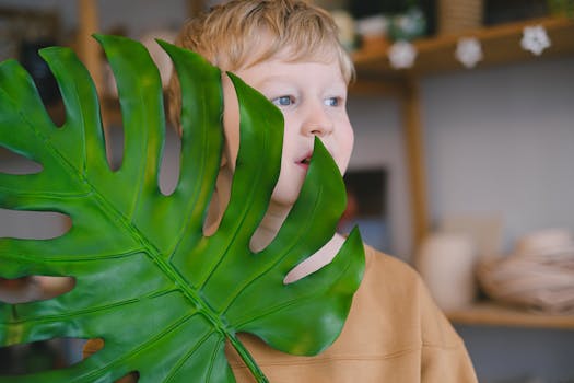 Comprar Plantas Grandes Online