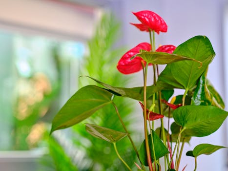 Centros y cestas de plantas naturales