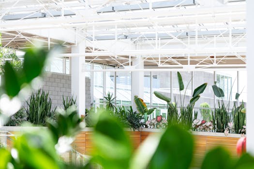 Comprar plantas para oficina con envío gratis