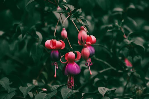 10 Plantas que dan flores todo el año