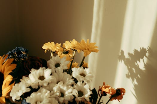 Flores de enero en España: cuáles florecen ... - Verdnatura