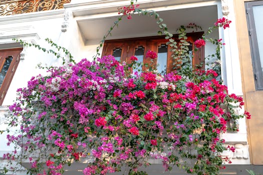 Plantas de Interior con Flor: Decorativas, Cuidado Fácil