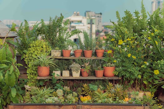 Plantas a Domicilio Madrid | Comprar Online