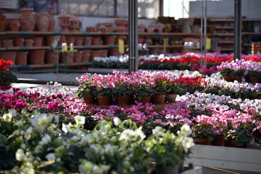 Comprar plantas con flor con envío gratis