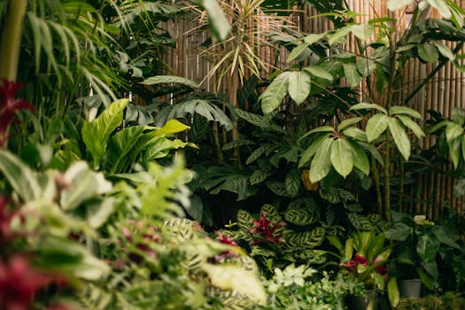 Comprar plantas purificadoras con envío gratis