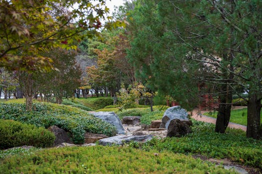 Plantas por jardines en zona de montaña - Planfor