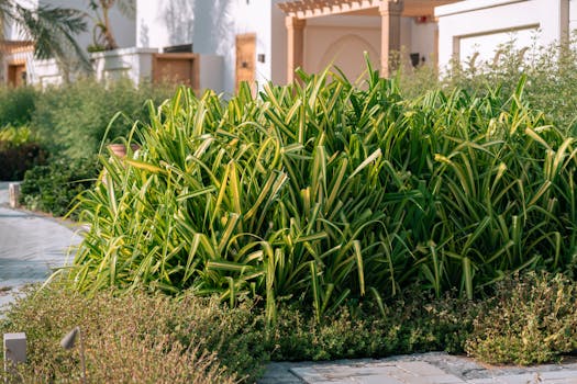Centros y cestas de plantas naturales
