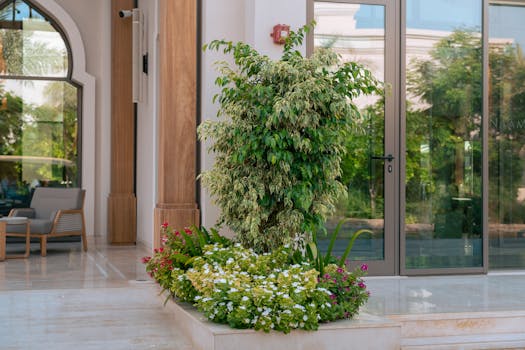 Plantas de interior fáciles de cuidar - Interflora