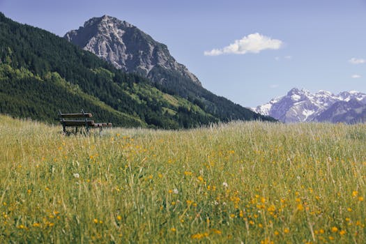 Plantas por jardines en zona de montaña - Planfor