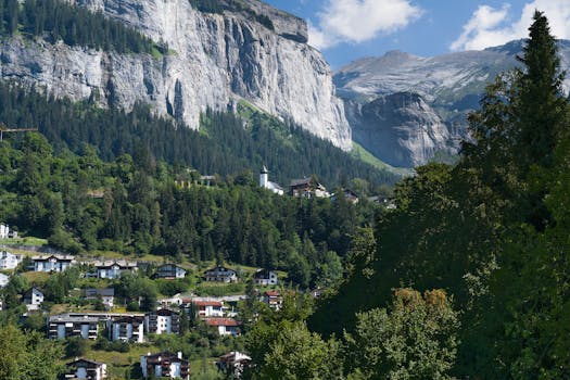 Plantas por jardines en zona de montaña - Planfor