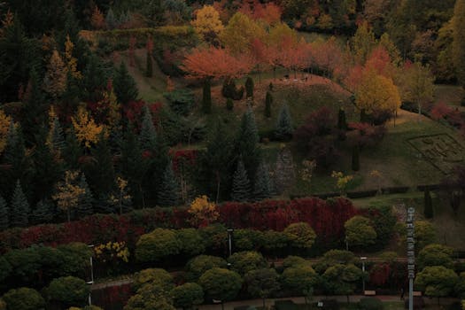 Plantas por jardines en zona de montaña - Planfor