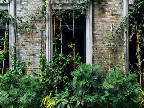 Centros y cestas de plantas naturales