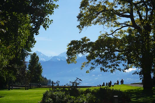 Plantas por jardines en zona de montaña - Planfor