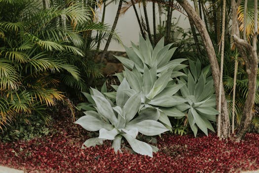 Comprar Plantas Grandes Online