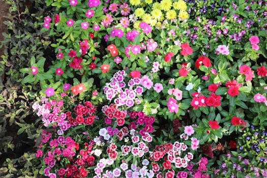 Tipos de plantas con flores: cuáles elegir para tu jardín