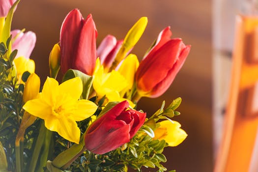 Flores de enero en España: cuáles florecen ... - Verdnatura