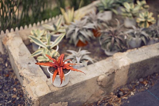 Blog de Cuidado de Plantas