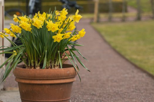 Plantas que florecen todo el año ¡o casi!
