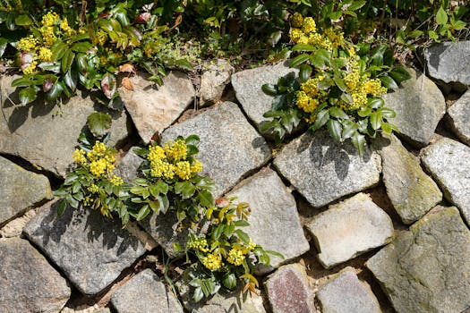Plantas de Flor | Variedades Ornamentales para Jardines y ...
