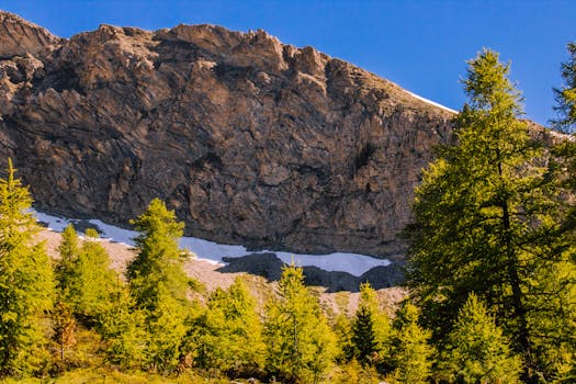 Plantas por jardines en zona de montaña - Planfor
