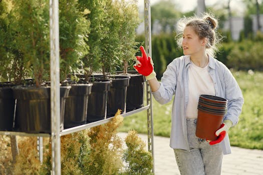 Plantas de exterior resistentes online - Interflora