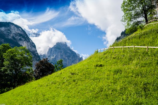Plantas por jardines en zona de montaña - Planfor
