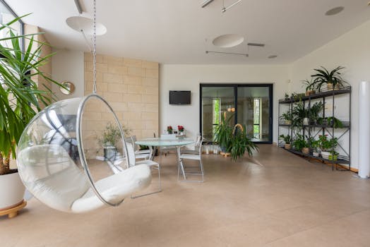 18 plantas de interior que no necesitan luz natural (o muy ...