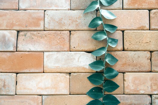 Plantas trepadoras - Venta en línea al mejor precio - Planfor