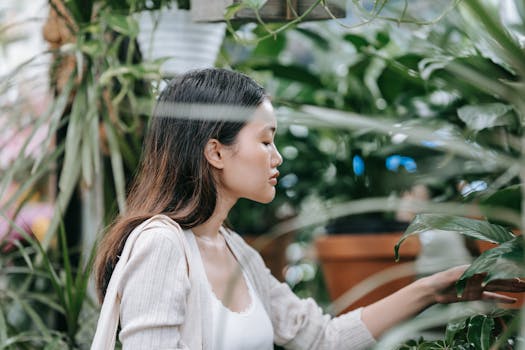 Comprar plantas purificadoras con envío gratis